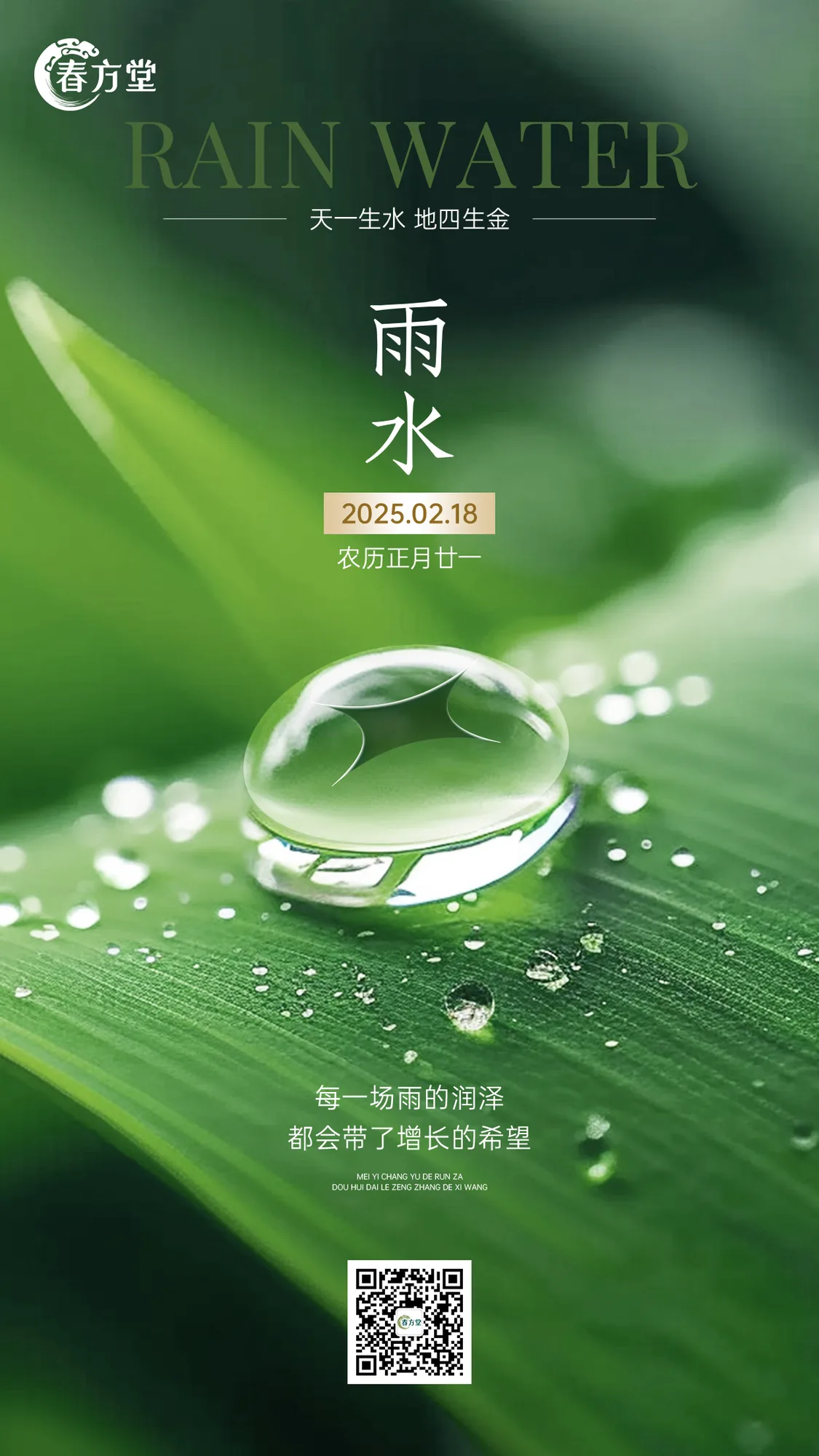 雨水